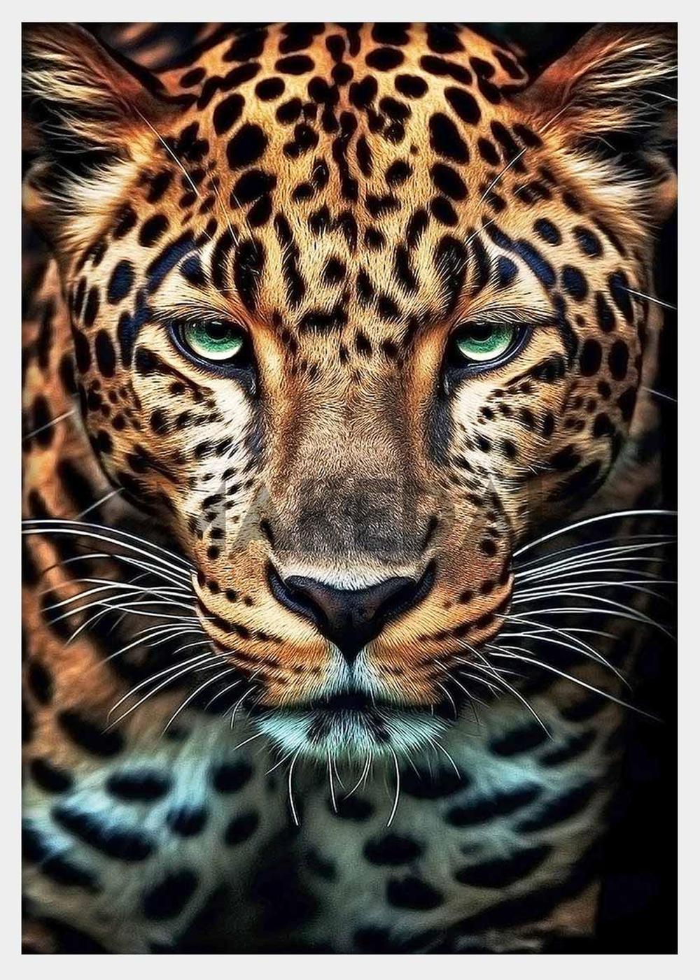 Jaguar – Canvas & Poster Wall Art – T332 Wildlife Series MAKEDAI